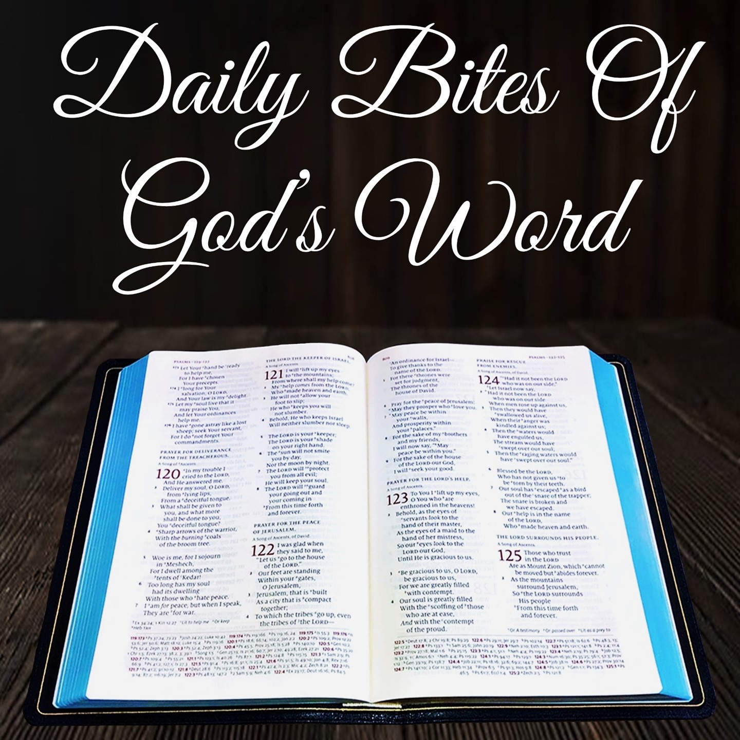Show artwork for Daily Bites Of God's Word