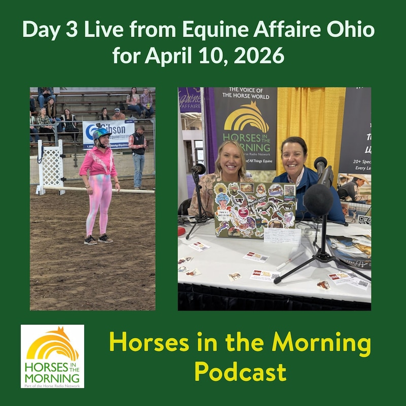 Artwork for podcast Horses in the Morning