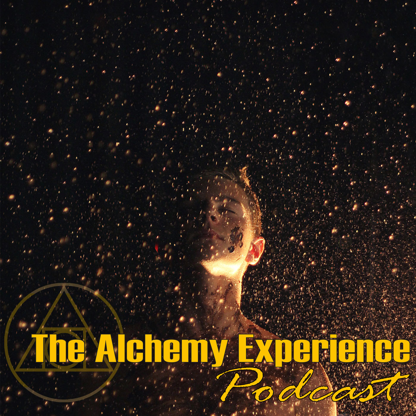 Artwork for The Alchemy Experience