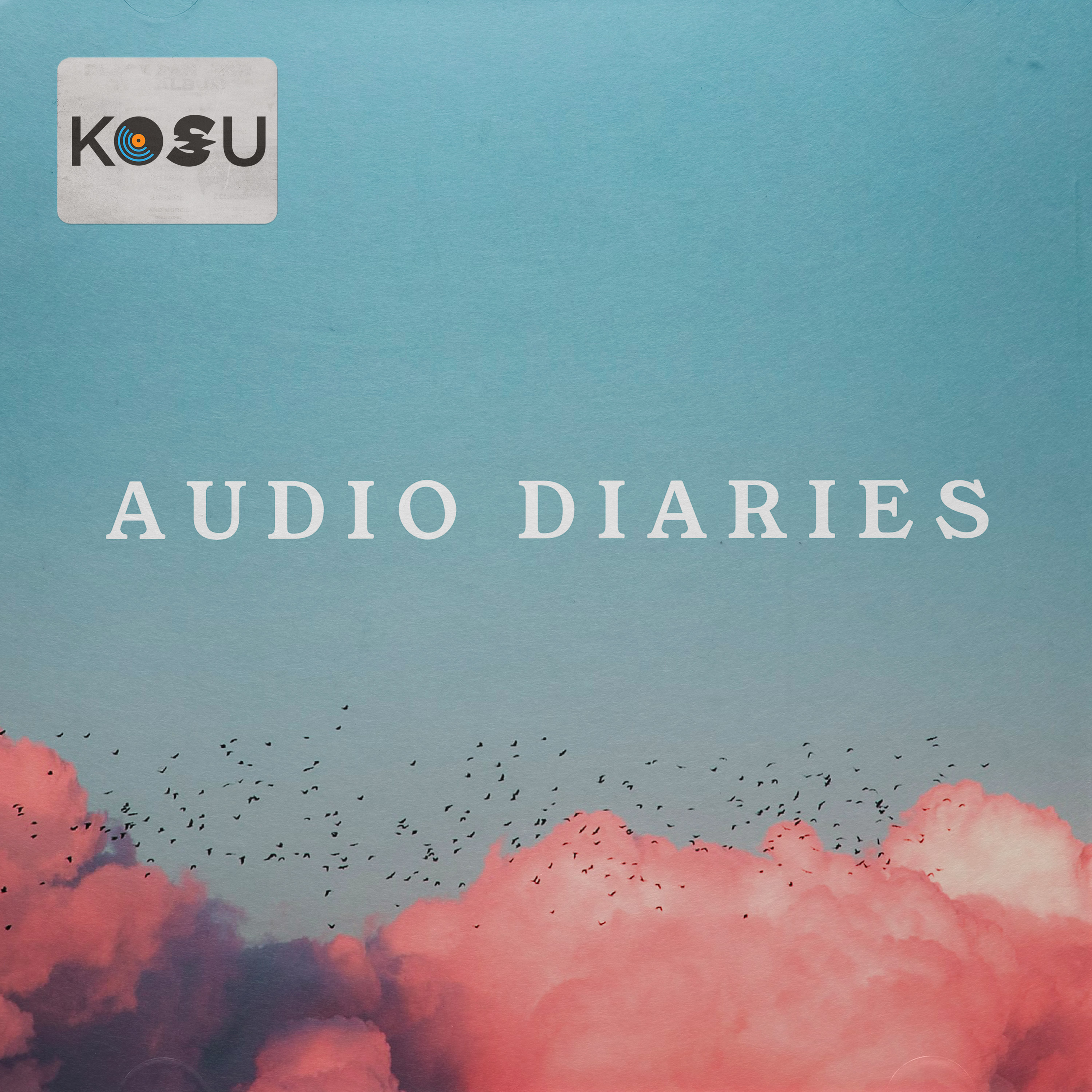 Artwork for Audio Diaries