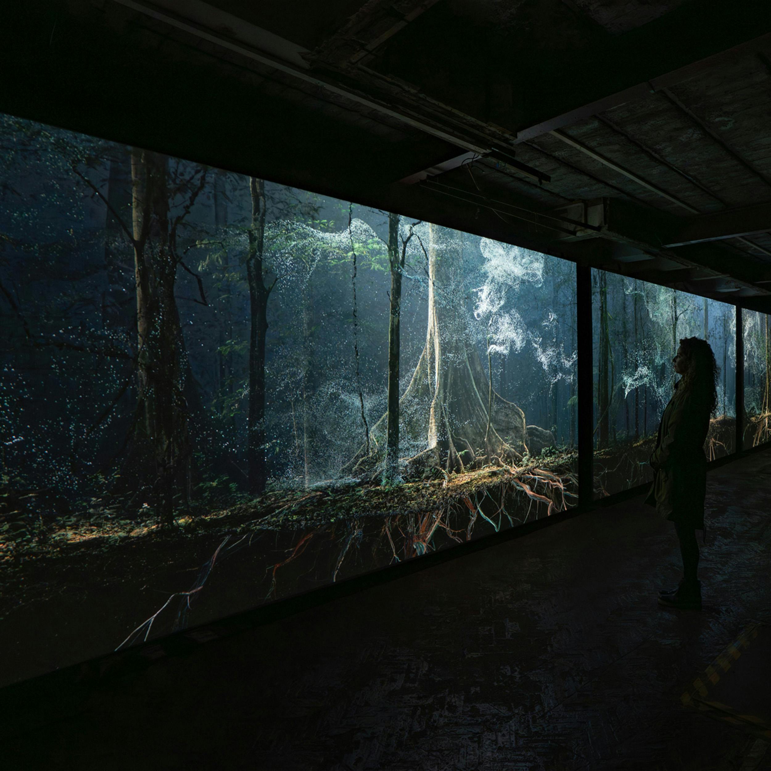 Making the Invisible Visible – A Conversation with Ersin Han Ersin