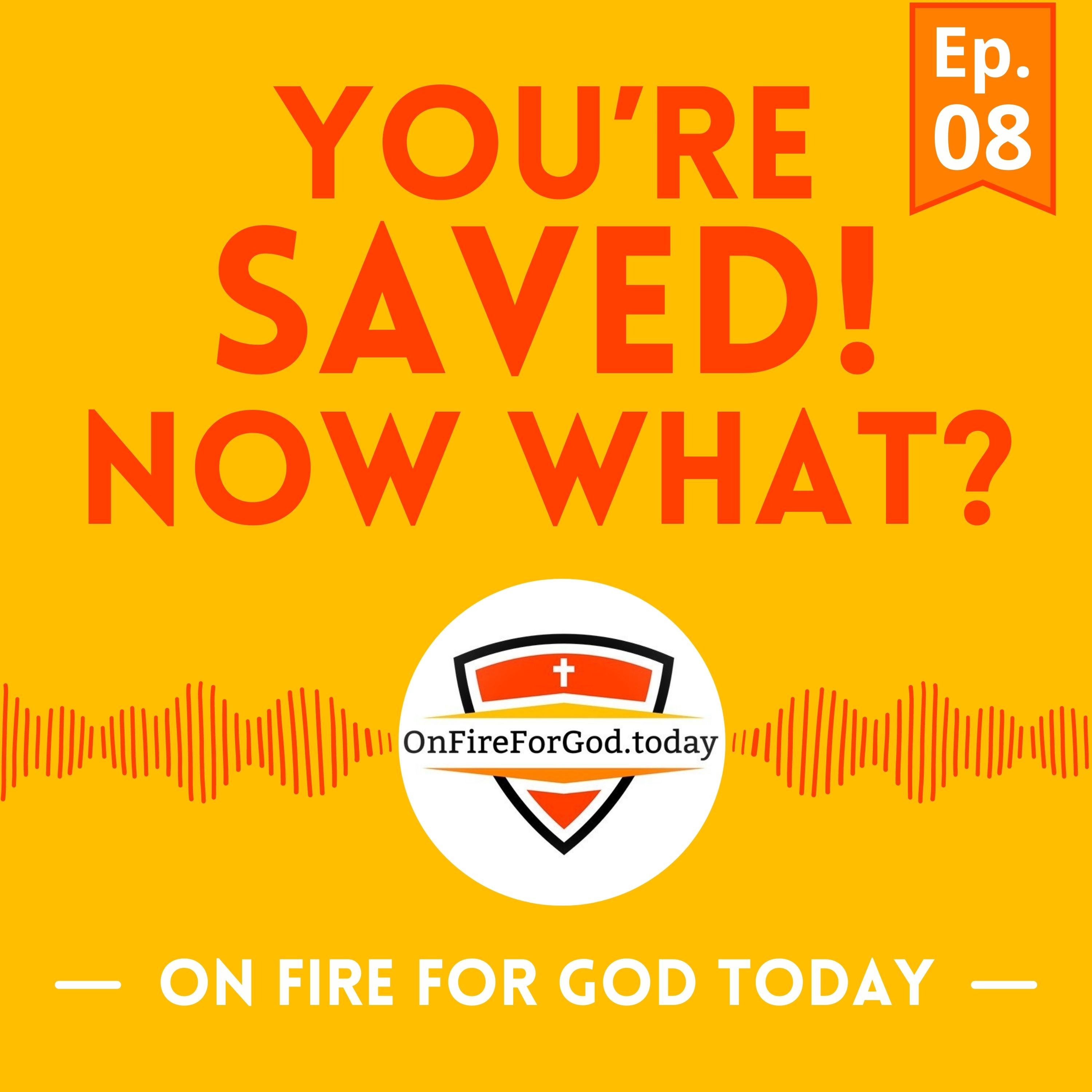 Artwork for podcast On Fire For God Today