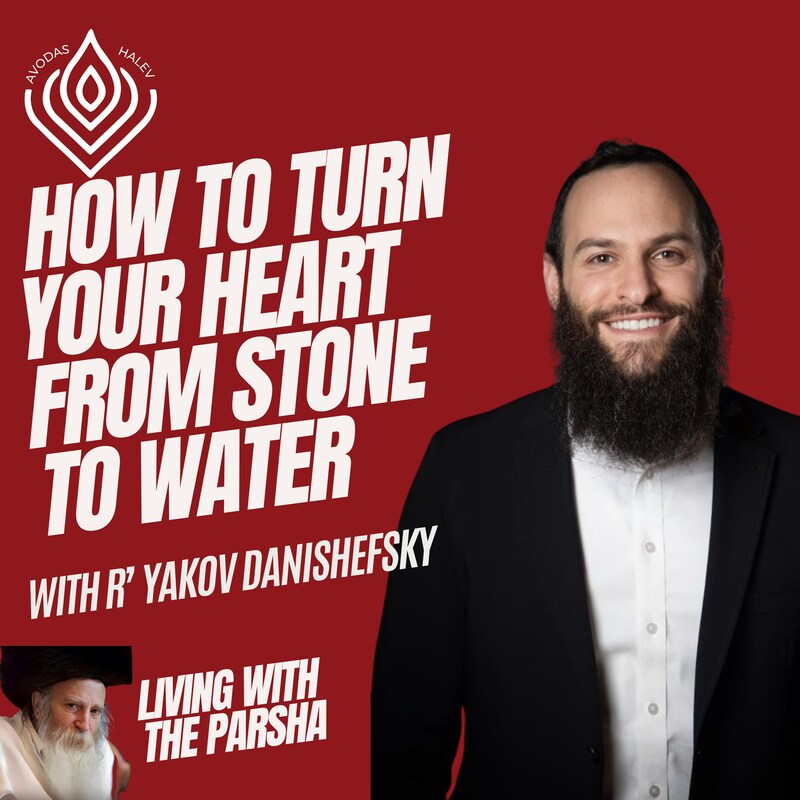 Artwork for podcast Avodas HaLev