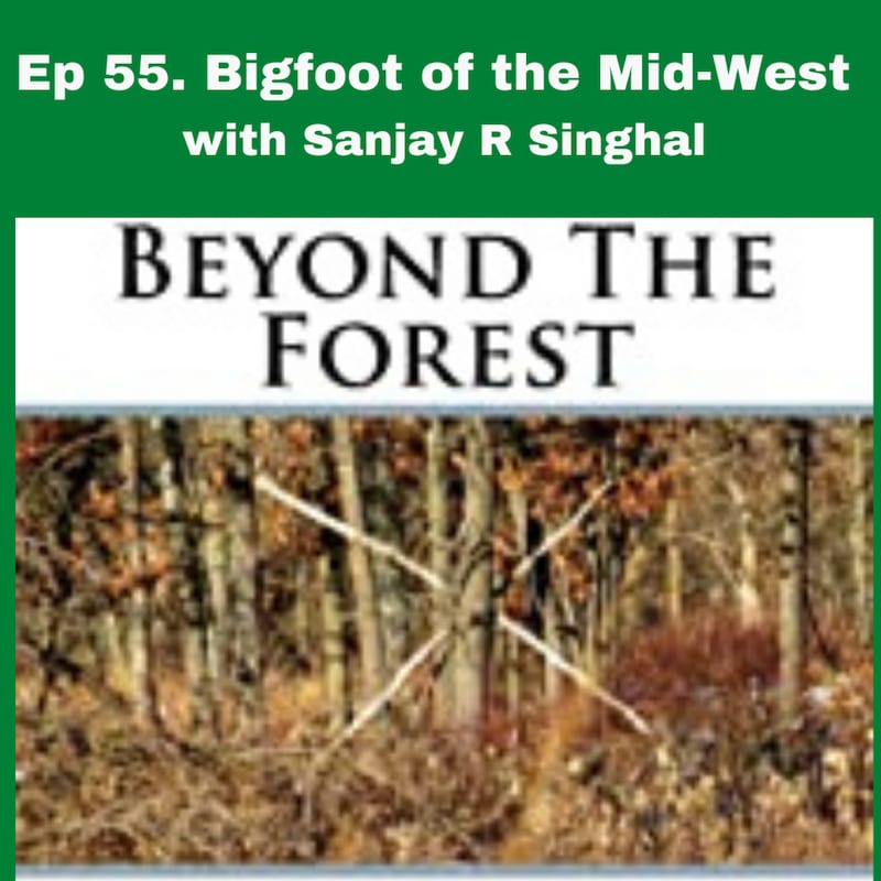 Artwork for podcast Pursuit of the Paranormal