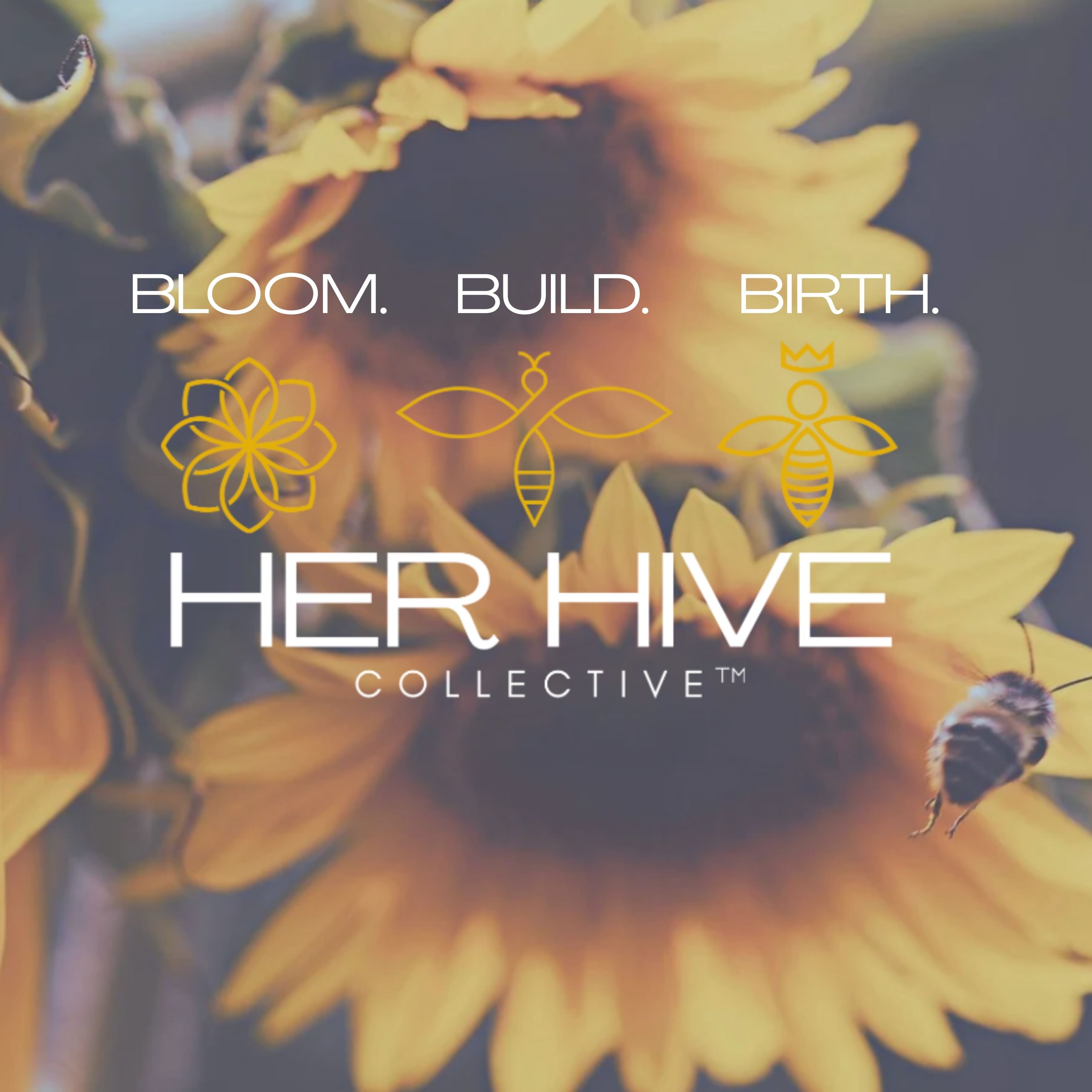 Bloom | Build | Birth cover art