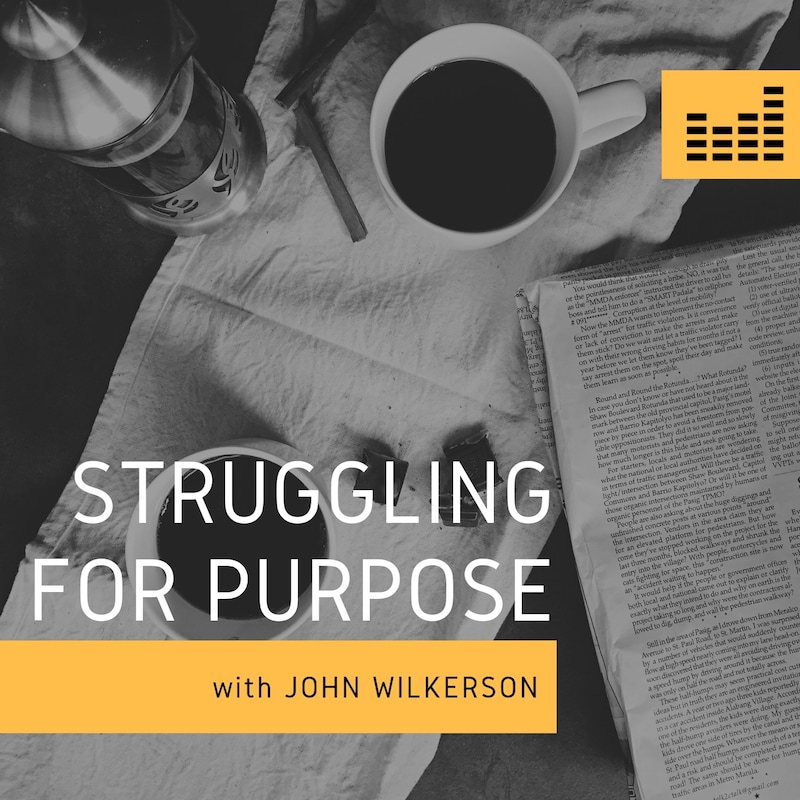 Artwork for podcast Struggling for Purpose