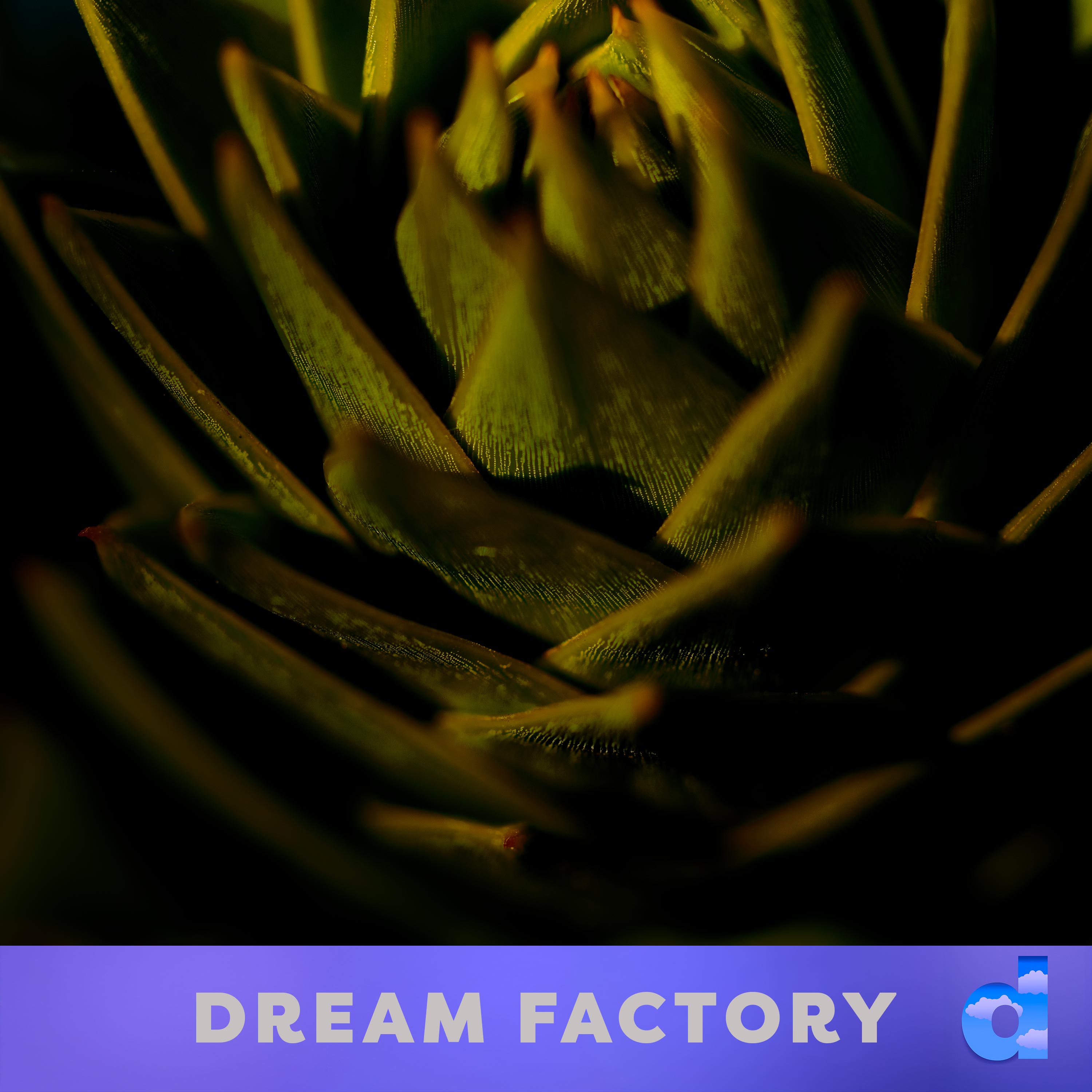 Dream Factory DK