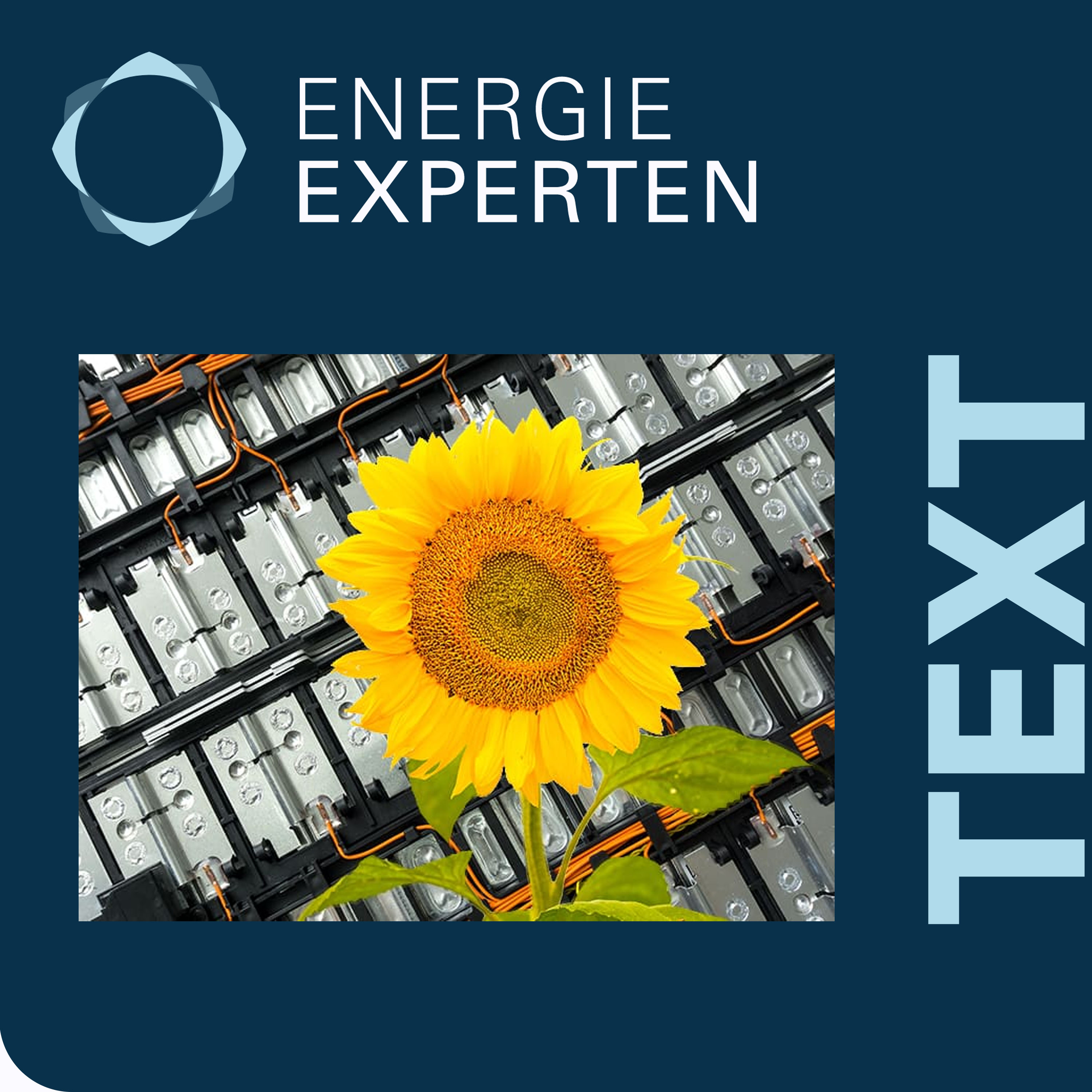 Energie-Experten