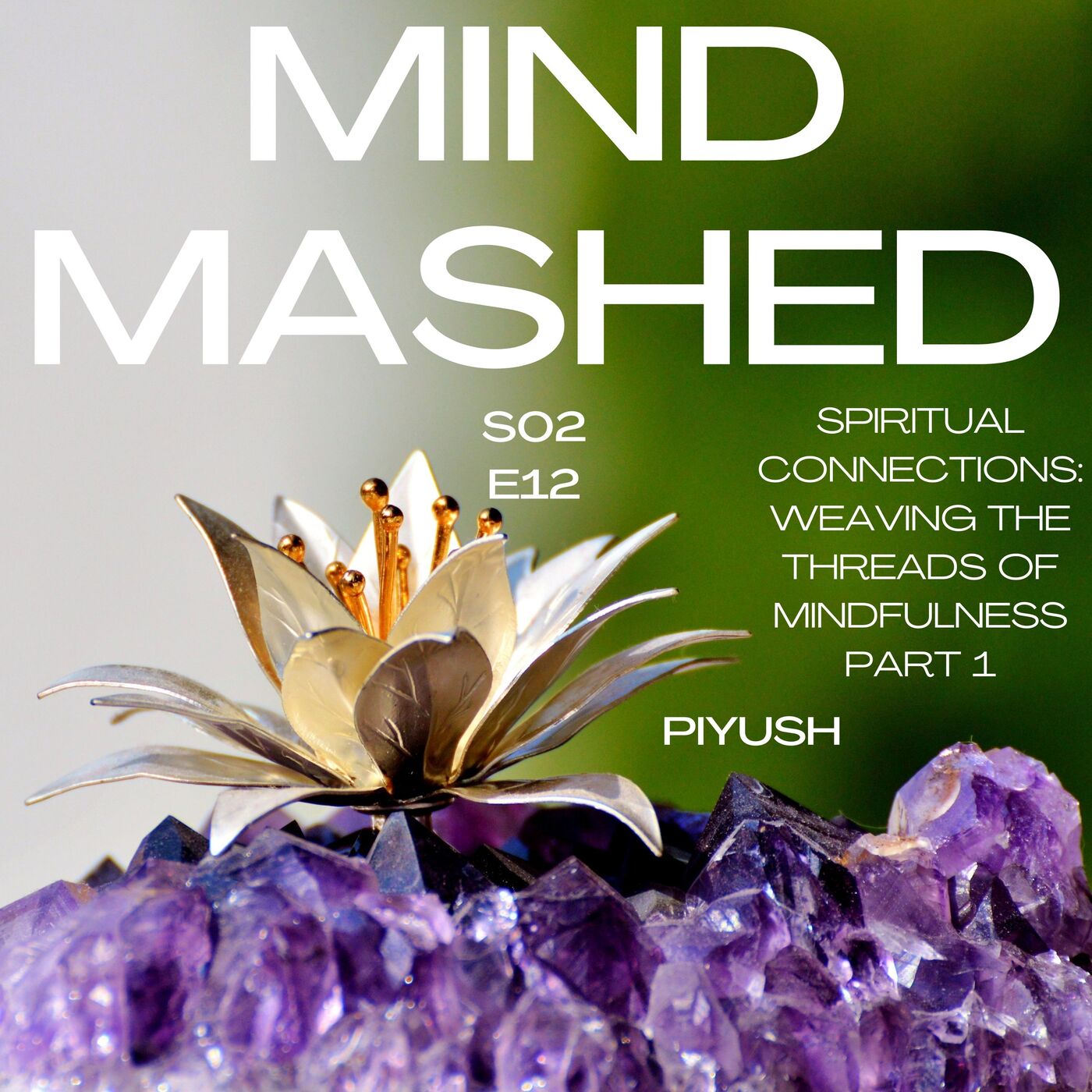 Mind Mashed - A Transformative Mindfulness & 5D Spirituality Podcast
