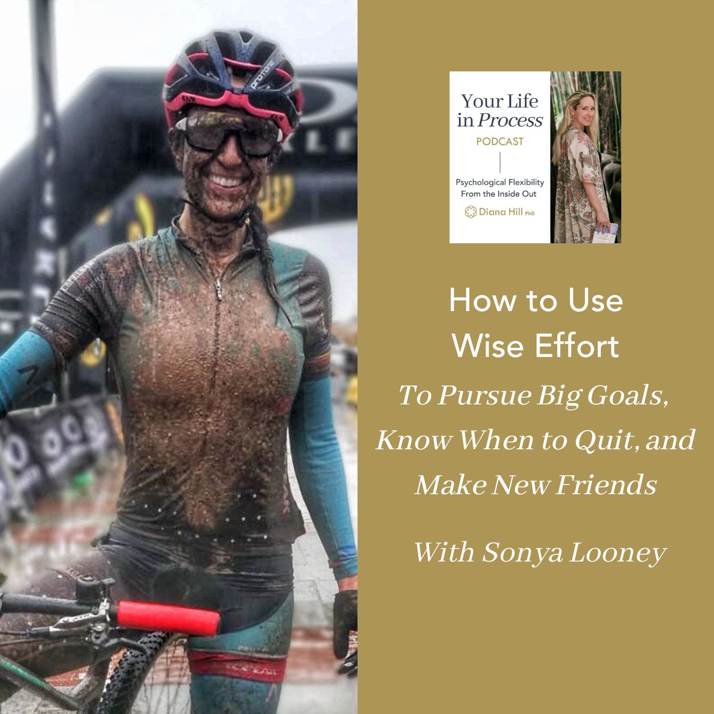 How to Use Wise Effort to Pursue Big Goals, Know When to Quit, and Make New Friends with Sonya Looney