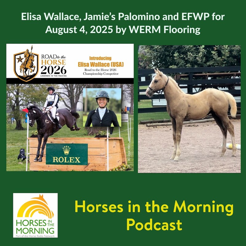 Artwork for podcast Horses in the Morning