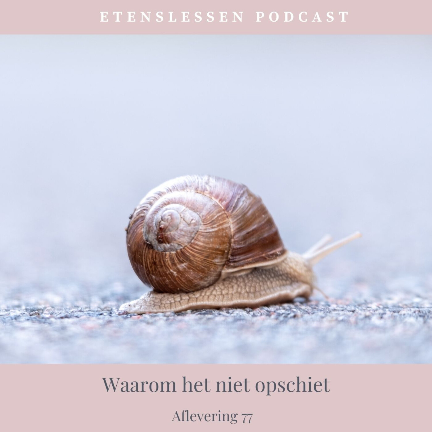 Afvallen met Etenslessen van Marjena Moll
