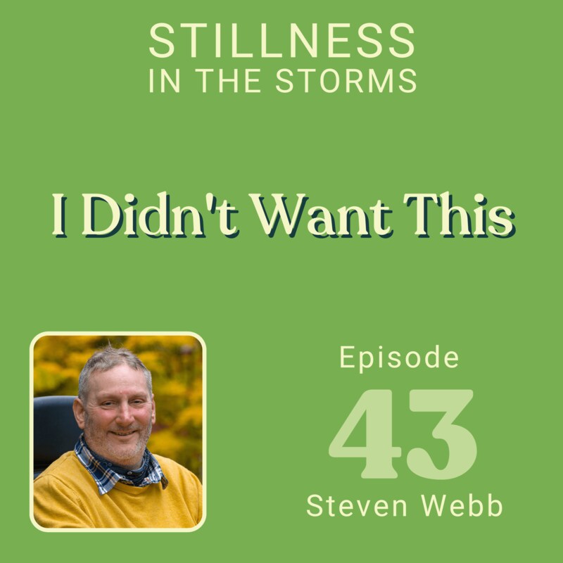 Artwork for podcast Stillness in the Storms