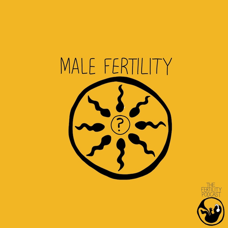 Artwork for podcast Male Fertility