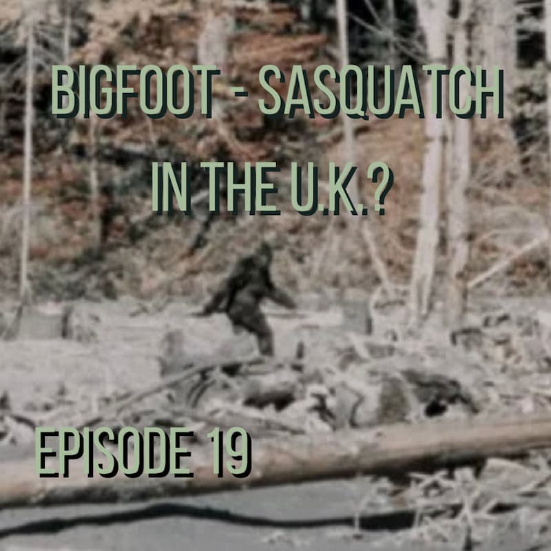 Artwork for podcast Pursuit of the Paranormal