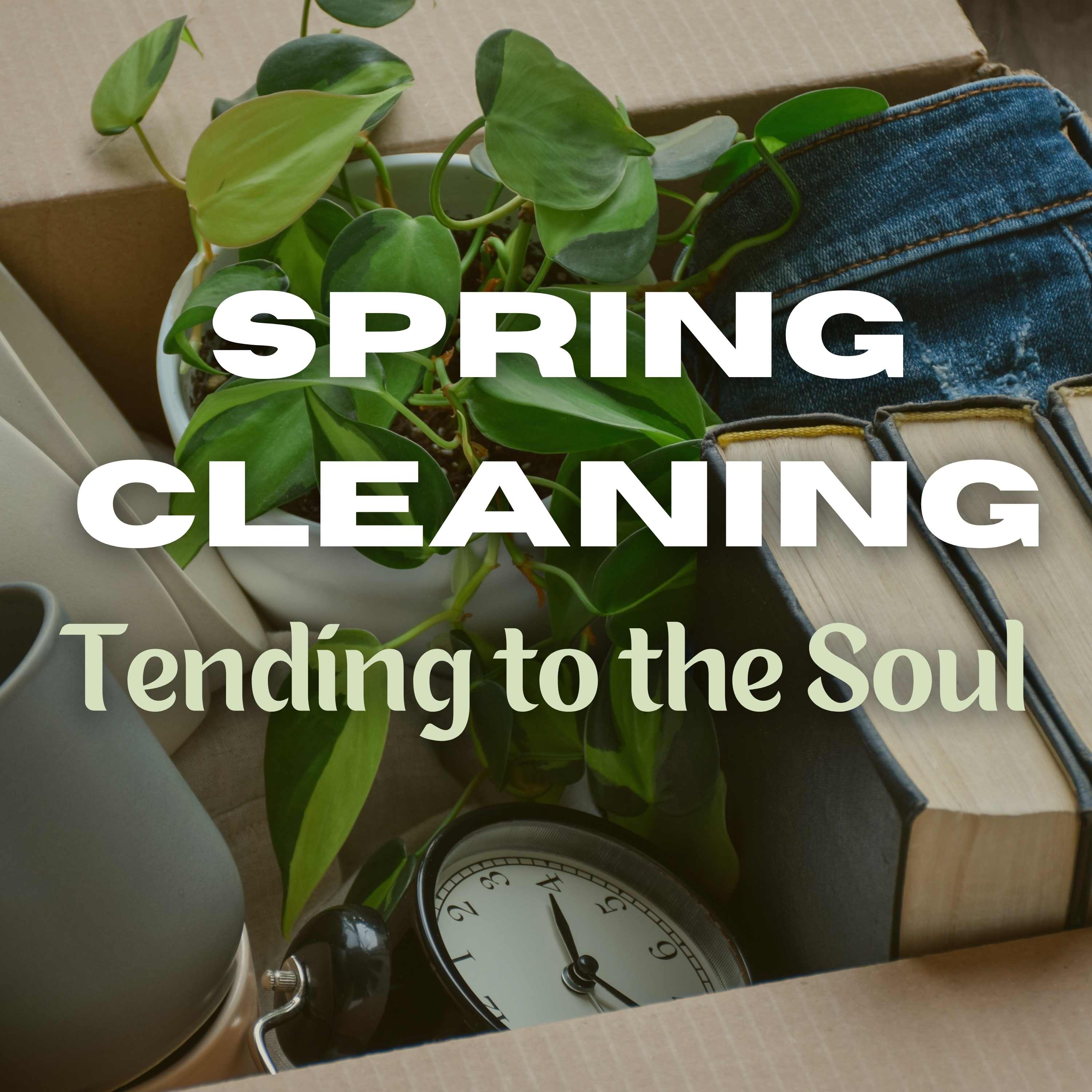Spring Cleaning - Scrubbing & Polishing (North OC) episode artwork