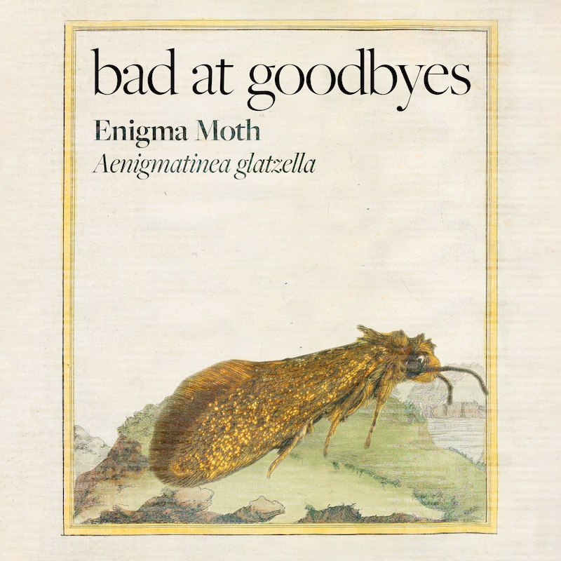 Artwork for podcast Bad at Goodbyes