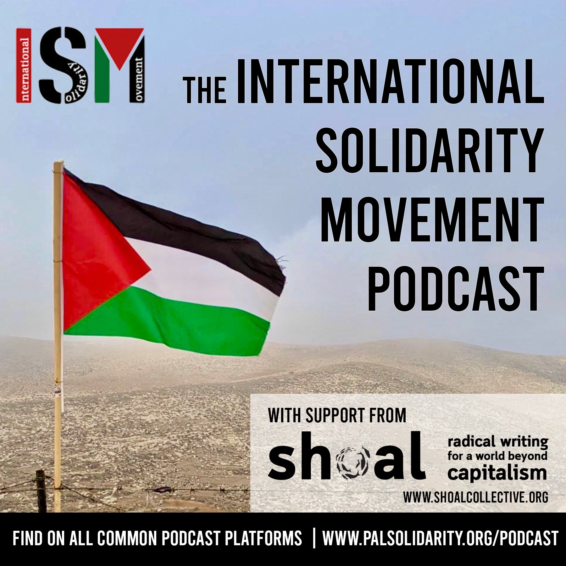 Artwork for podcast The International Solidarity Movement Podcast