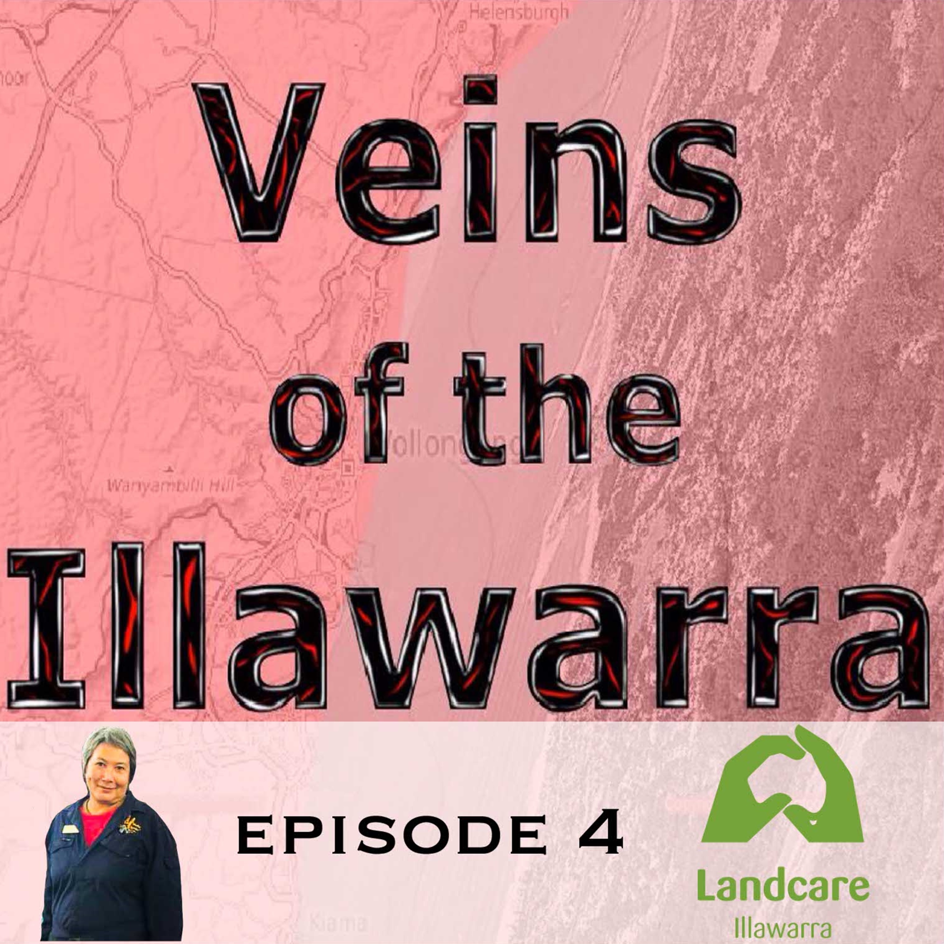 Veins of the Illawarra