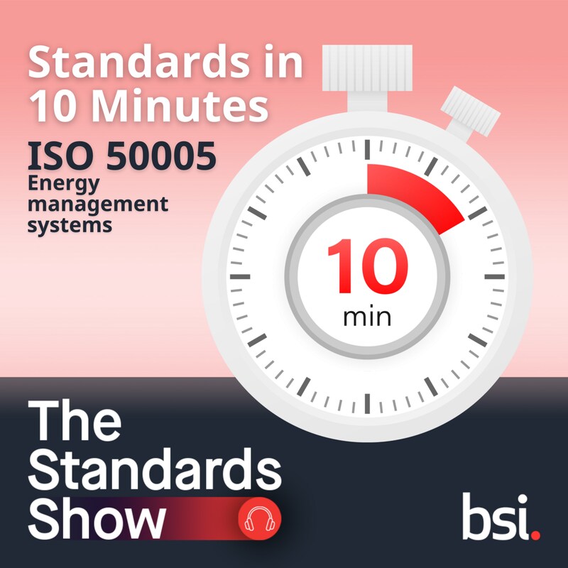 Artwork for podcast The Standards Show