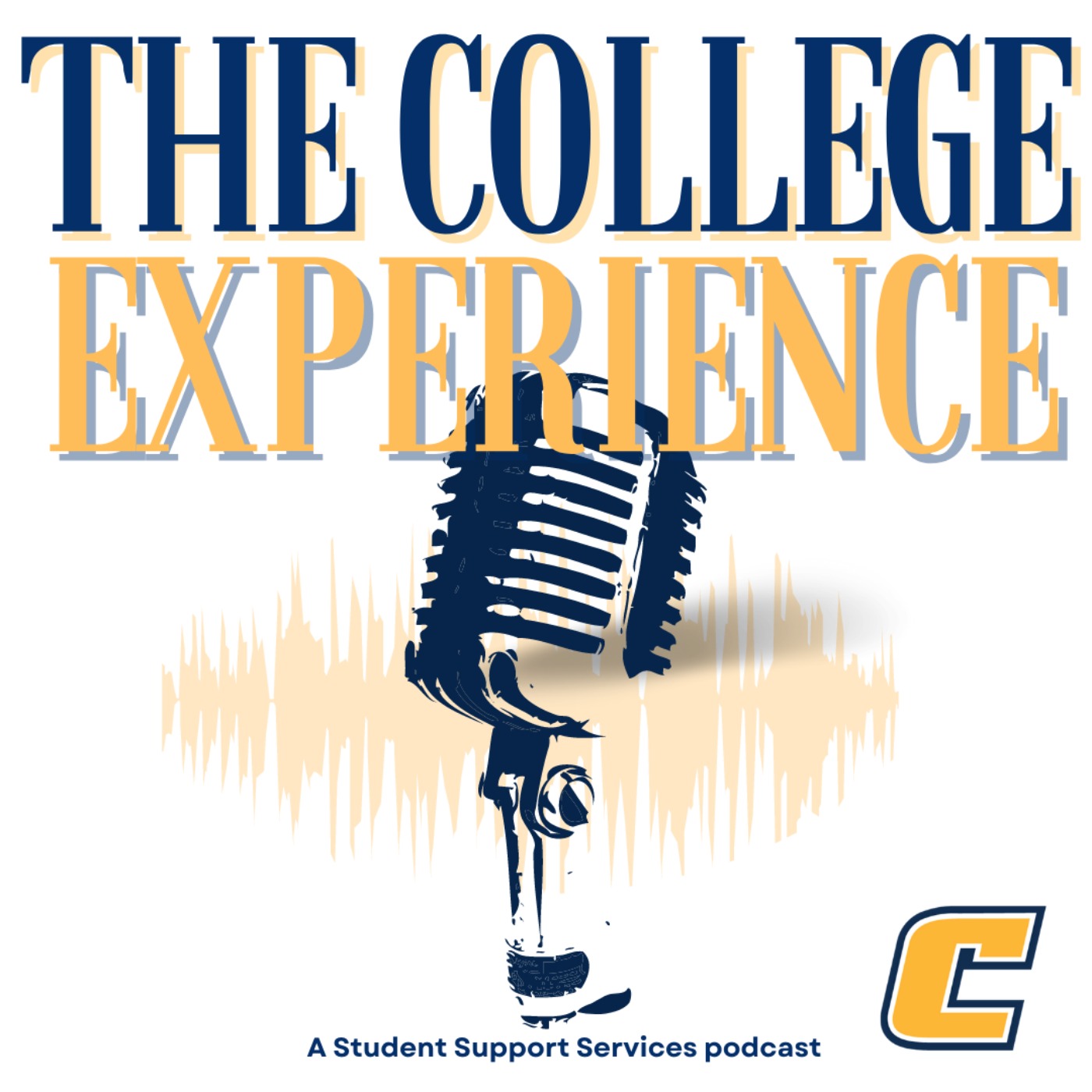 The College Experience by SSS podcast artwork