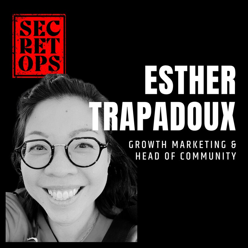 Artwork for podcast Secret Ops