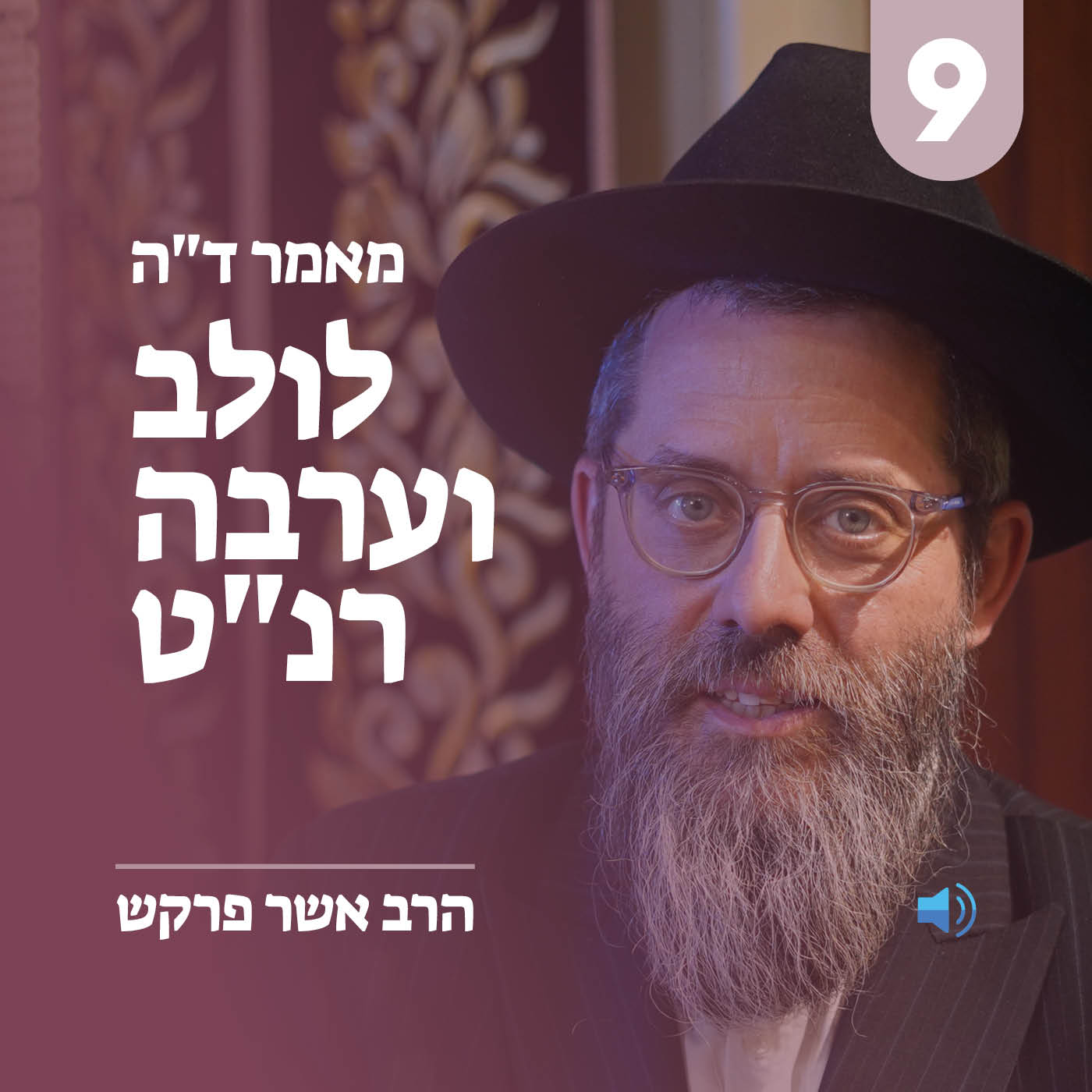 מאמר ד״ה לולב וערבה רנ״ט - חלק ט׳
