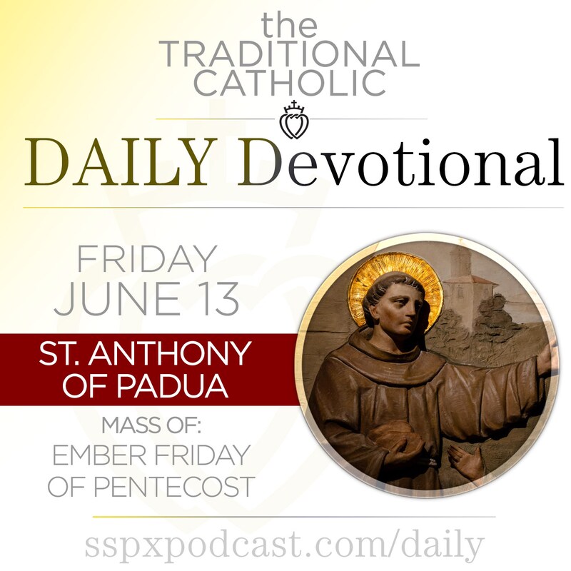 Artwork for podcast Traditional Catholic Daily Devotional
