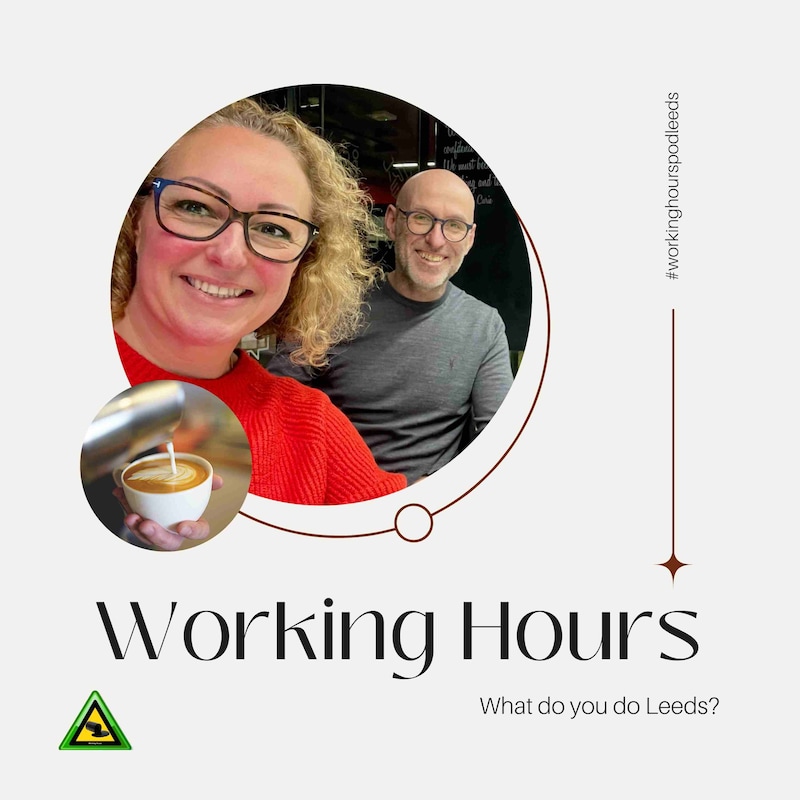 Artwork for podcast Working Hours