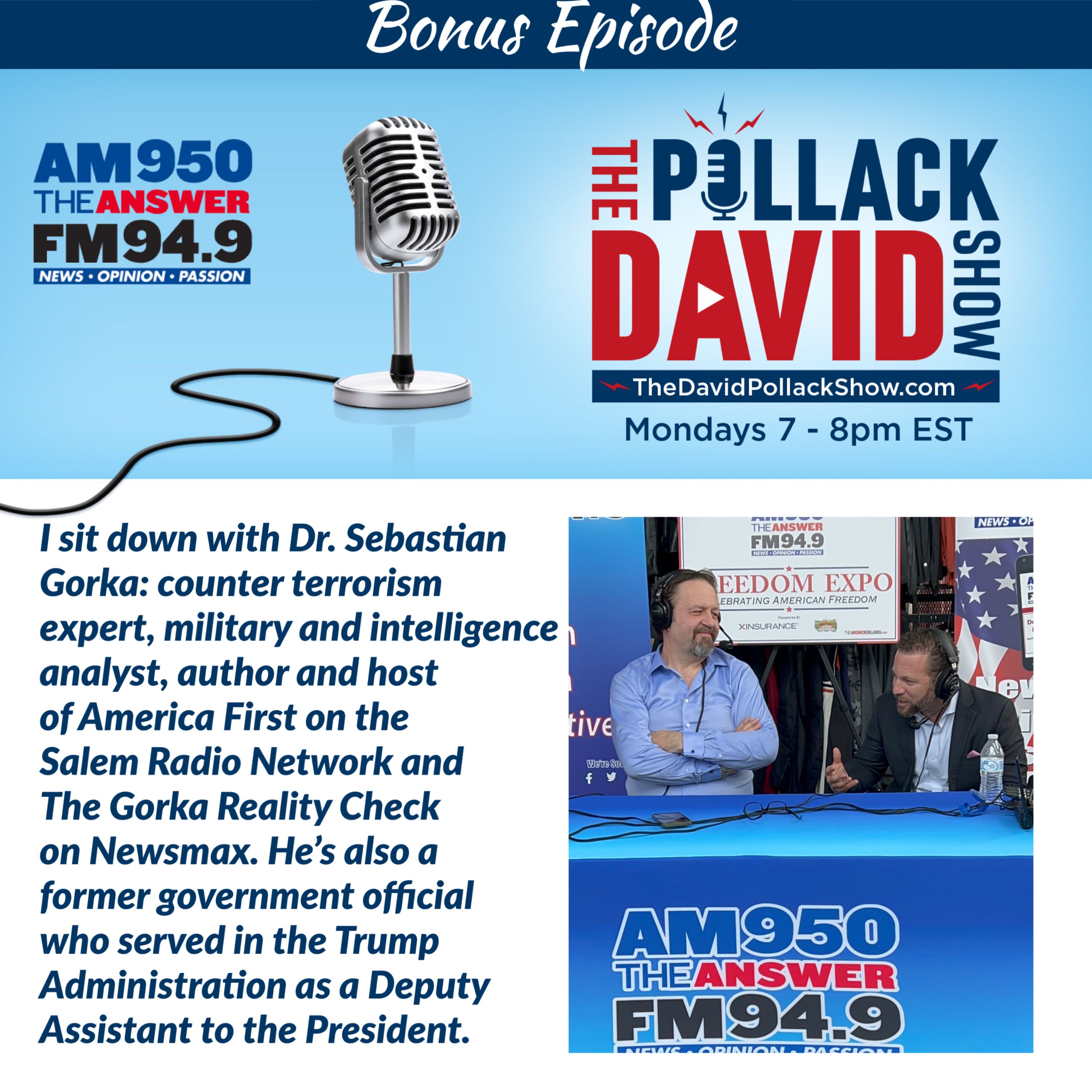 The David Pollack Show