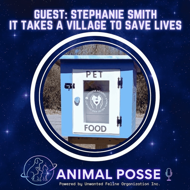 Artwork for podcast Animal Posse