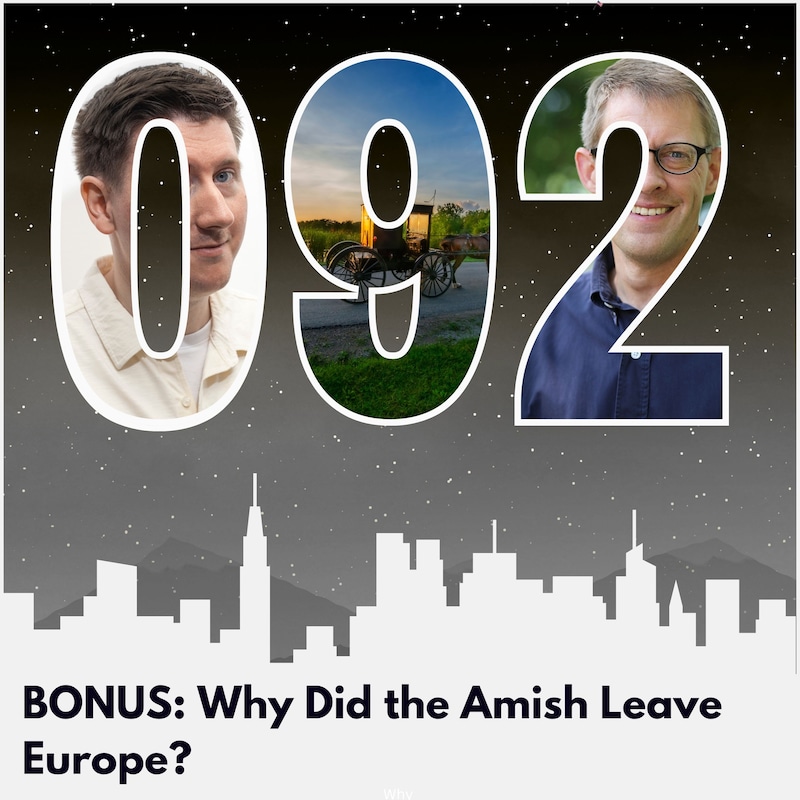 Artwork for podcast America: A History