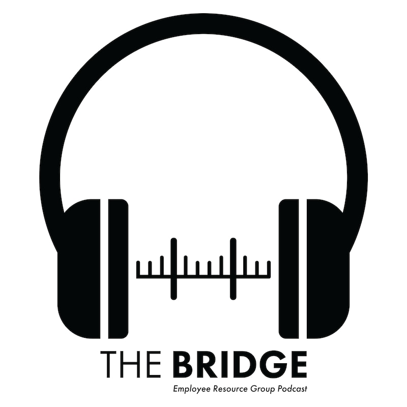 Artwork for podcast The Bridge