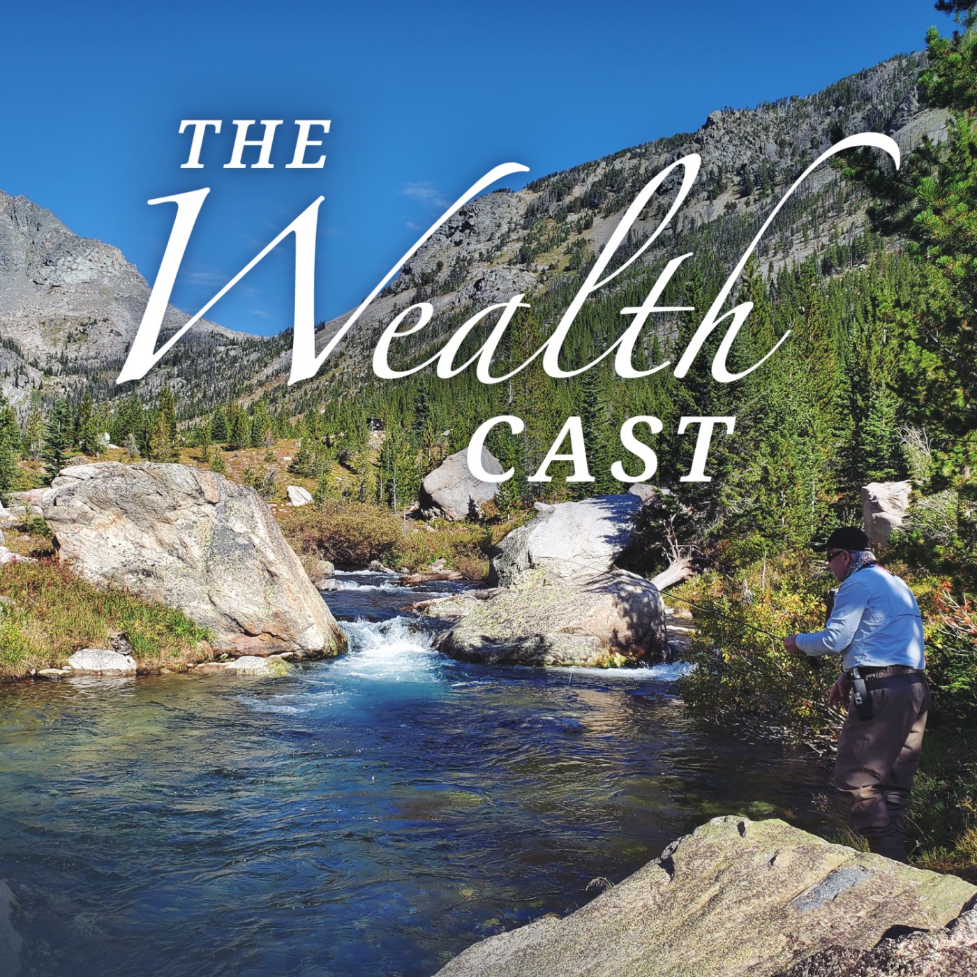 Artwork for podcast The Wealth Cast