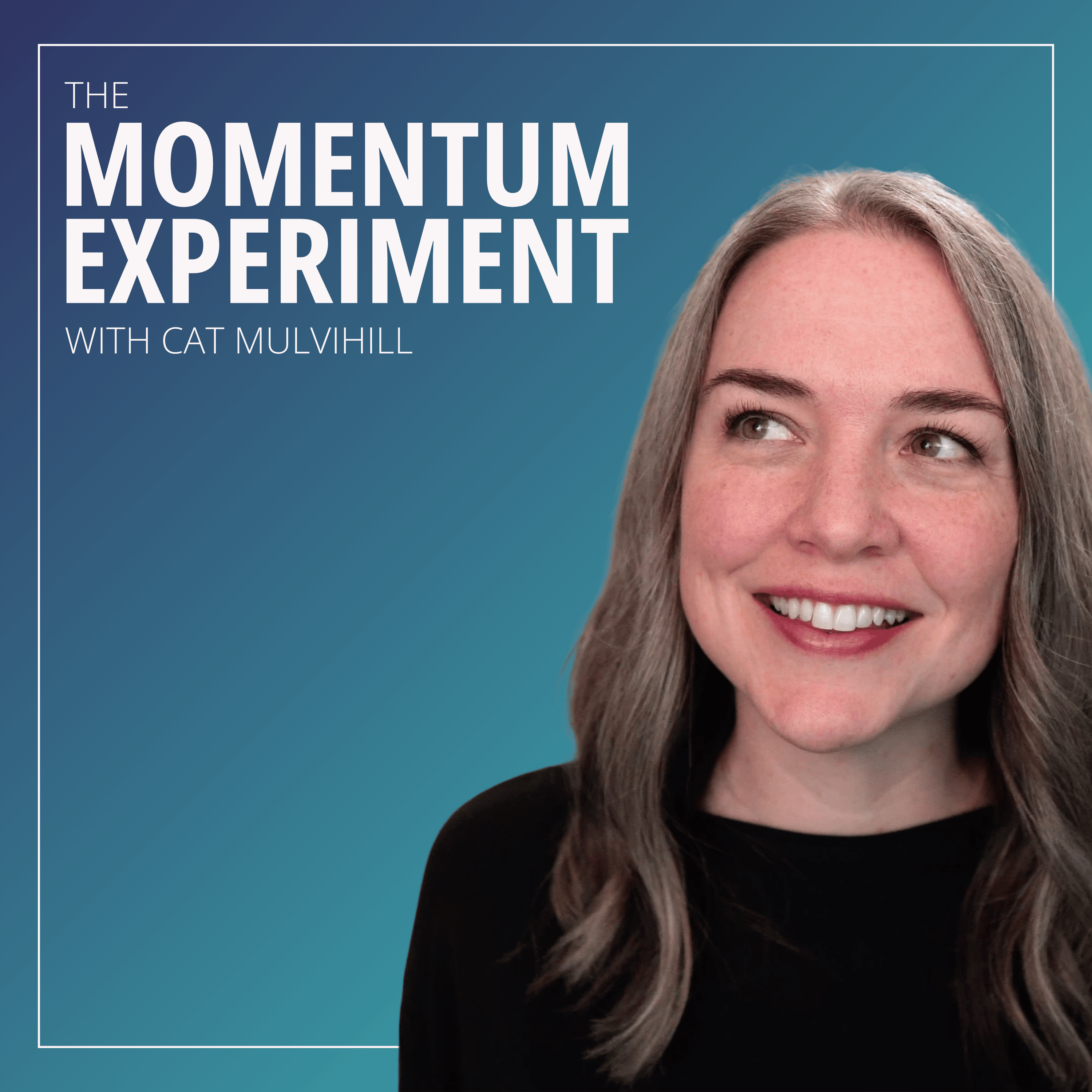 Artwork for The Momentum Experiment
