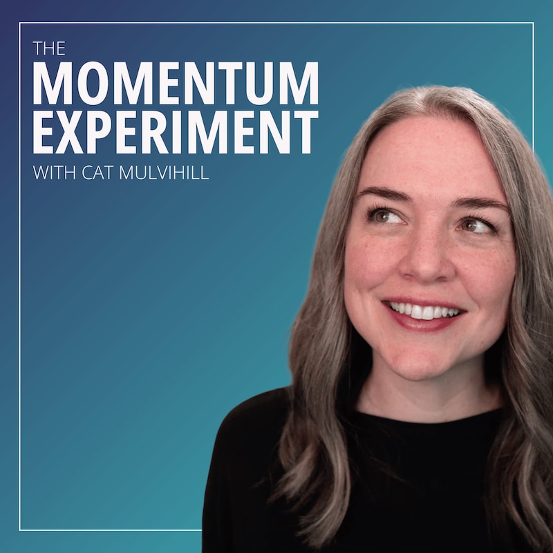 Artwork for podcast The Momentum Experiment