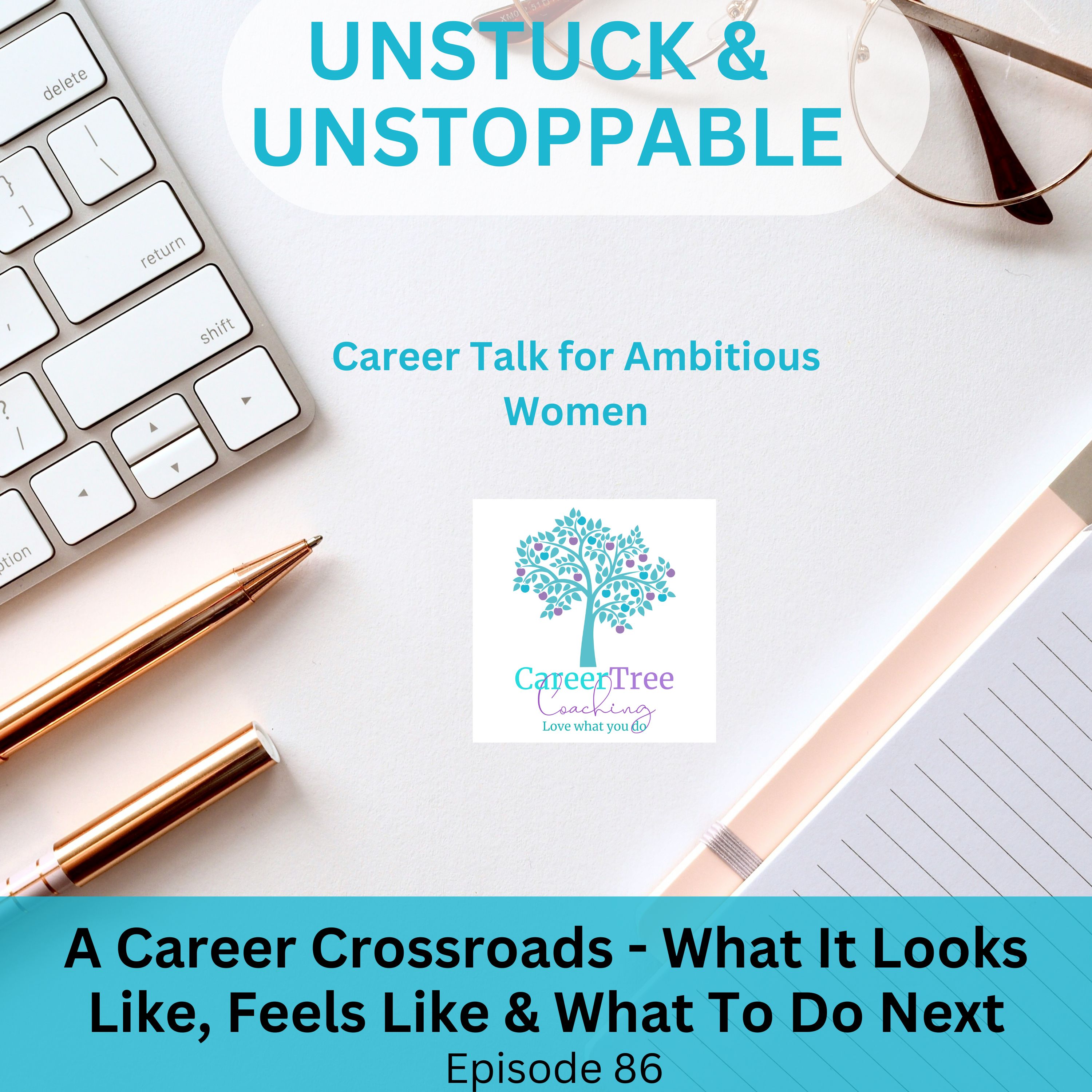 Episode 86 A Career Crossroads: What does it look like, feel like and what to do next episode artwork