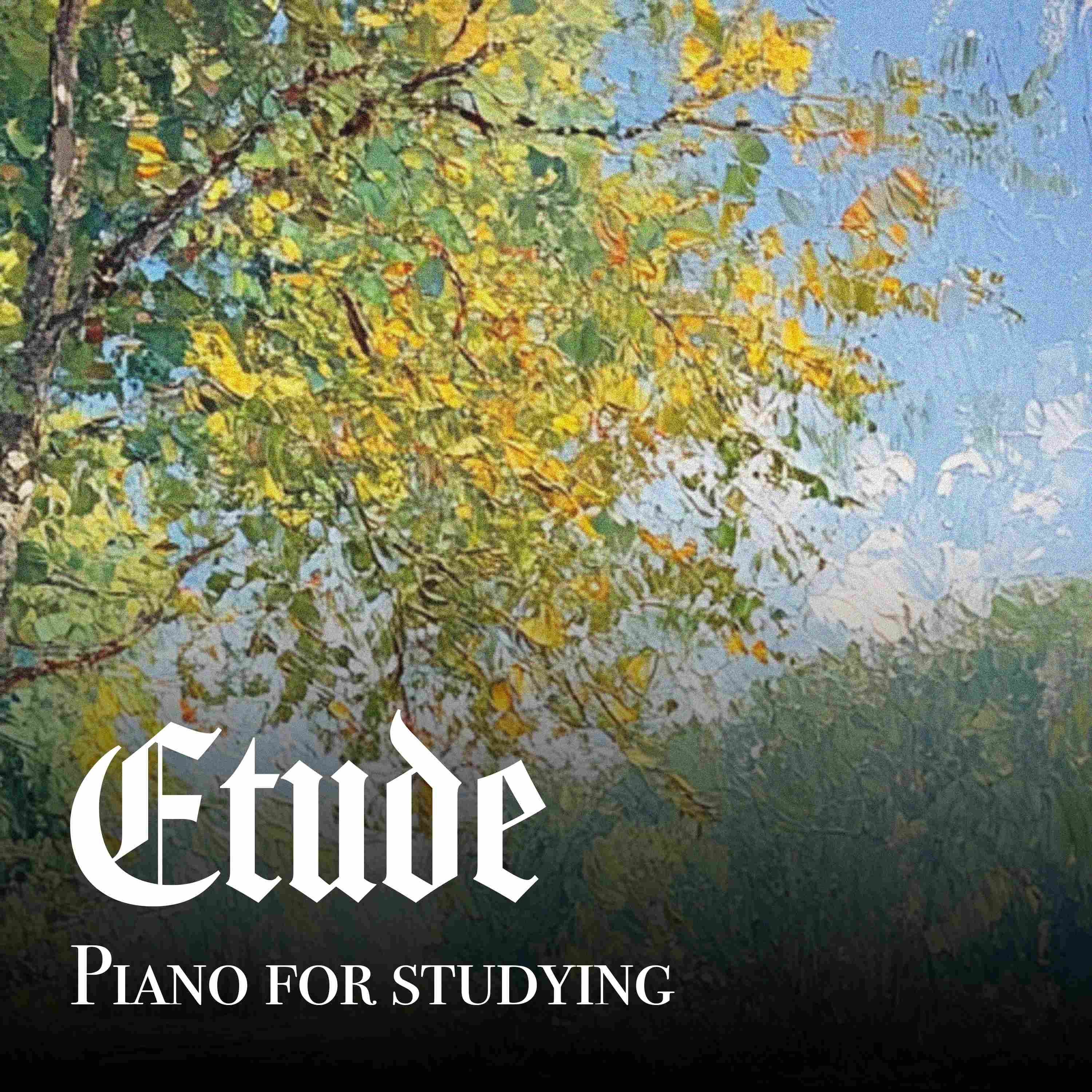 Studying Piano with Morning Birds - 8 Hours - "Midnight Bloom"