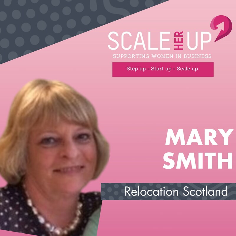 Artwork for podcast Scale Her Up: Female business stories and expert tips for business growth and success