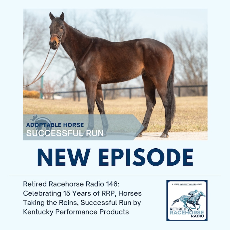 Artwork for podcast Retired Racehorse Radio
