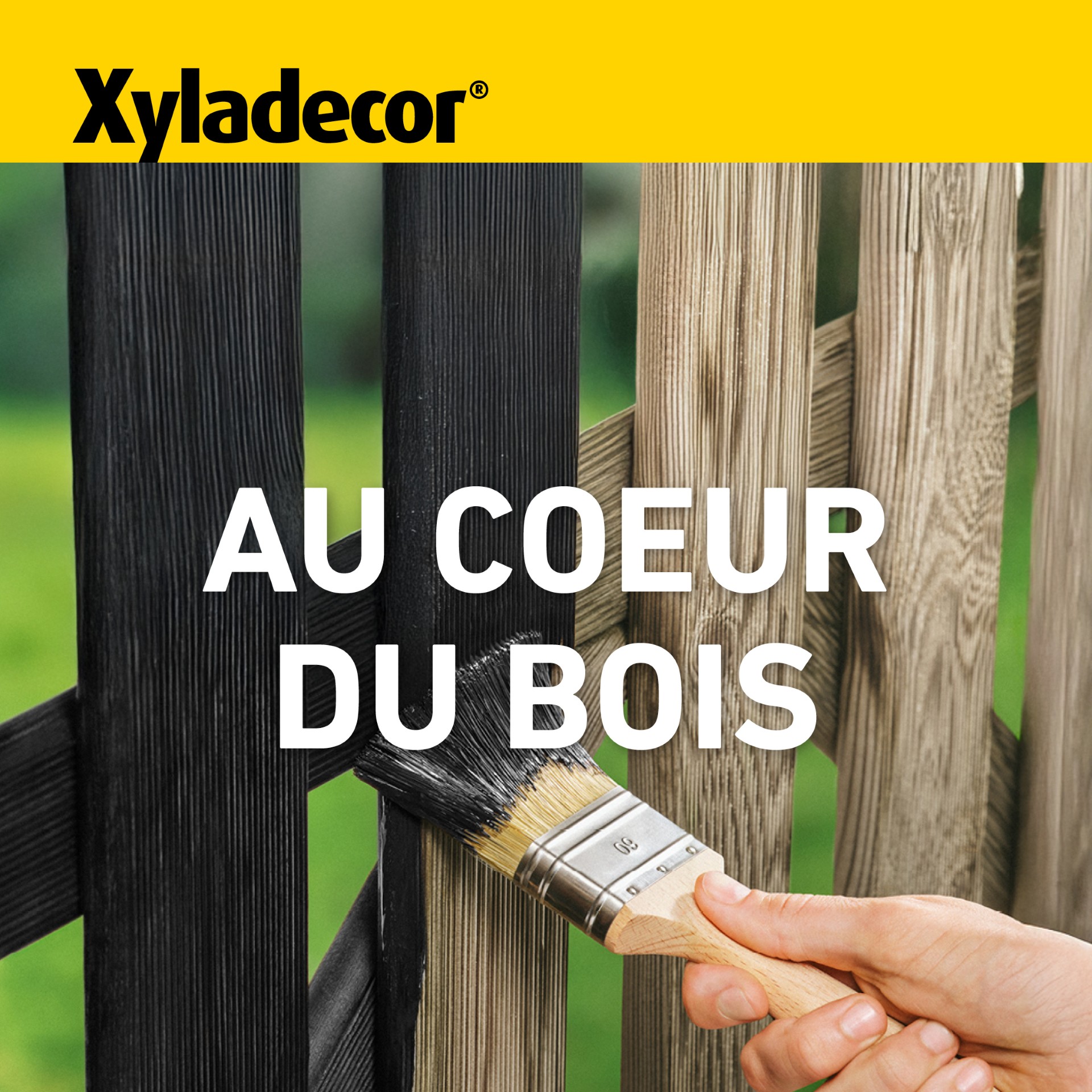 Au coeur du bois