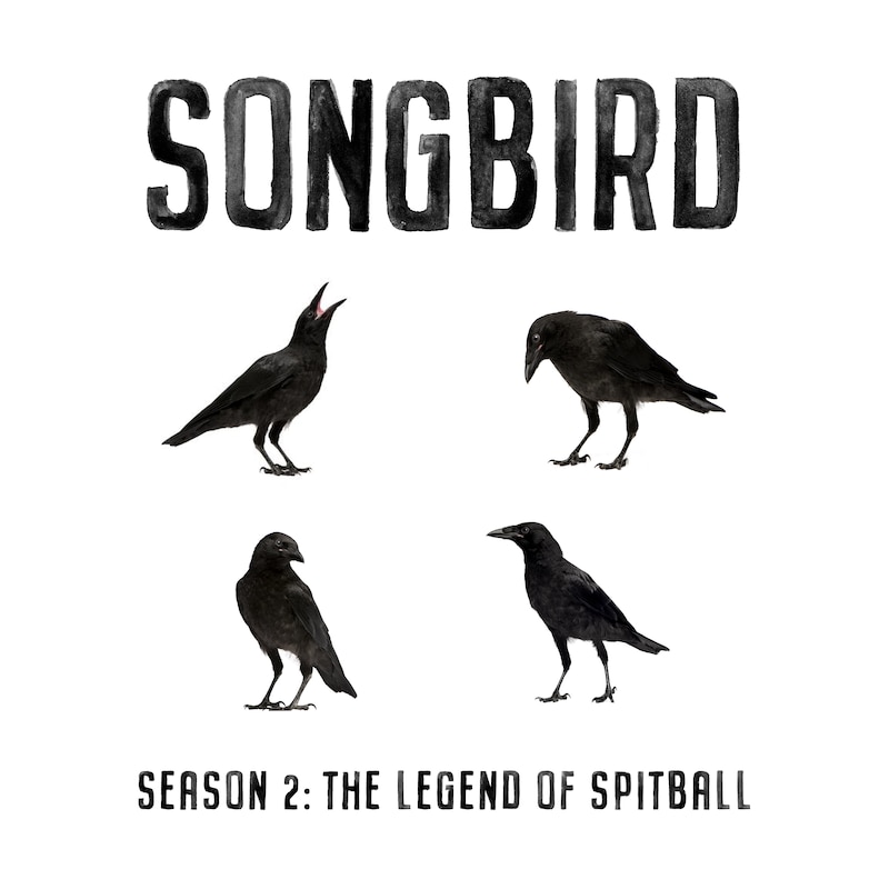 Artwork for podcast Songbird
