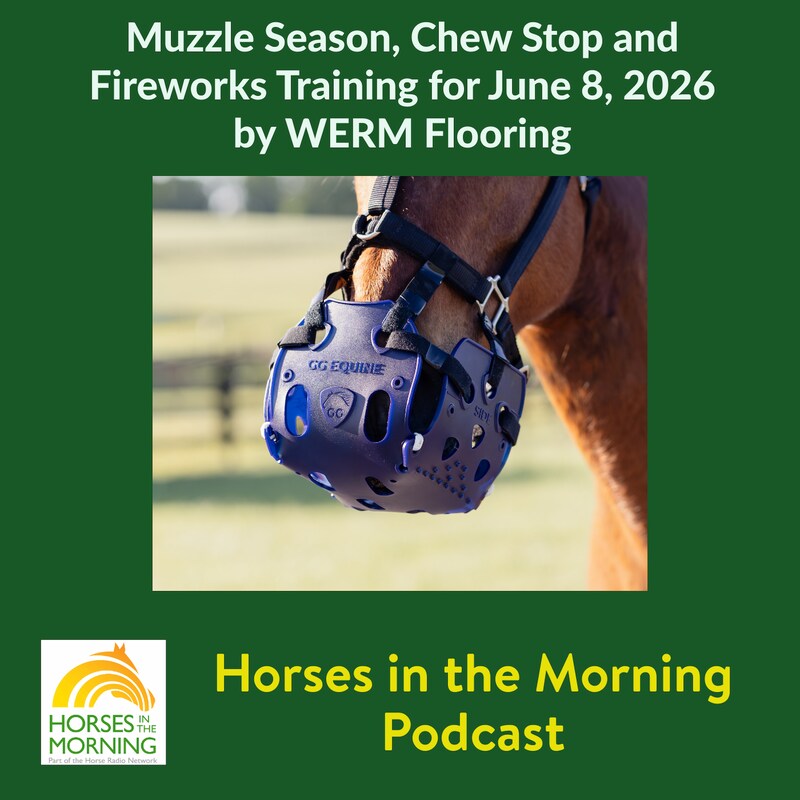 Artwork for podcast Horses in the Morning