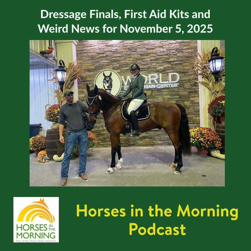Artwork for podcast Horses in the Morning