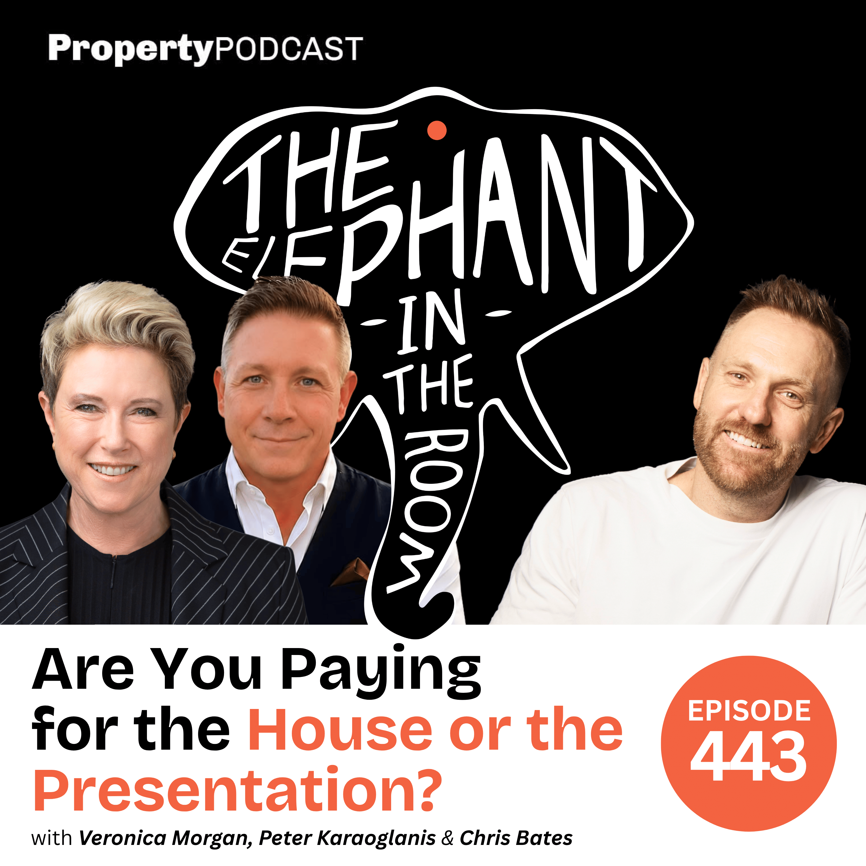 Are You Paying for the House or the Presentation? episode artwork