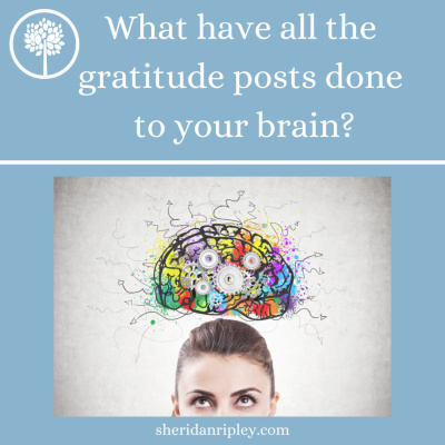 #29 What have all the gratitude posts done to your brain? episode artwork