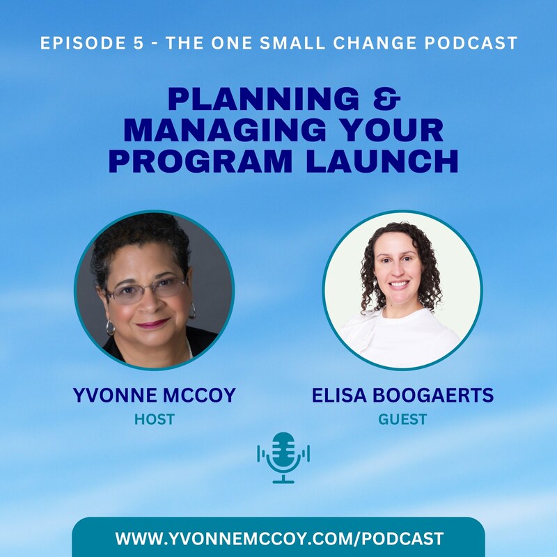 Artwork for podcast The One Small Change Podcast