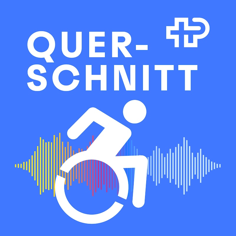 Artwork for podcast Querschnitt