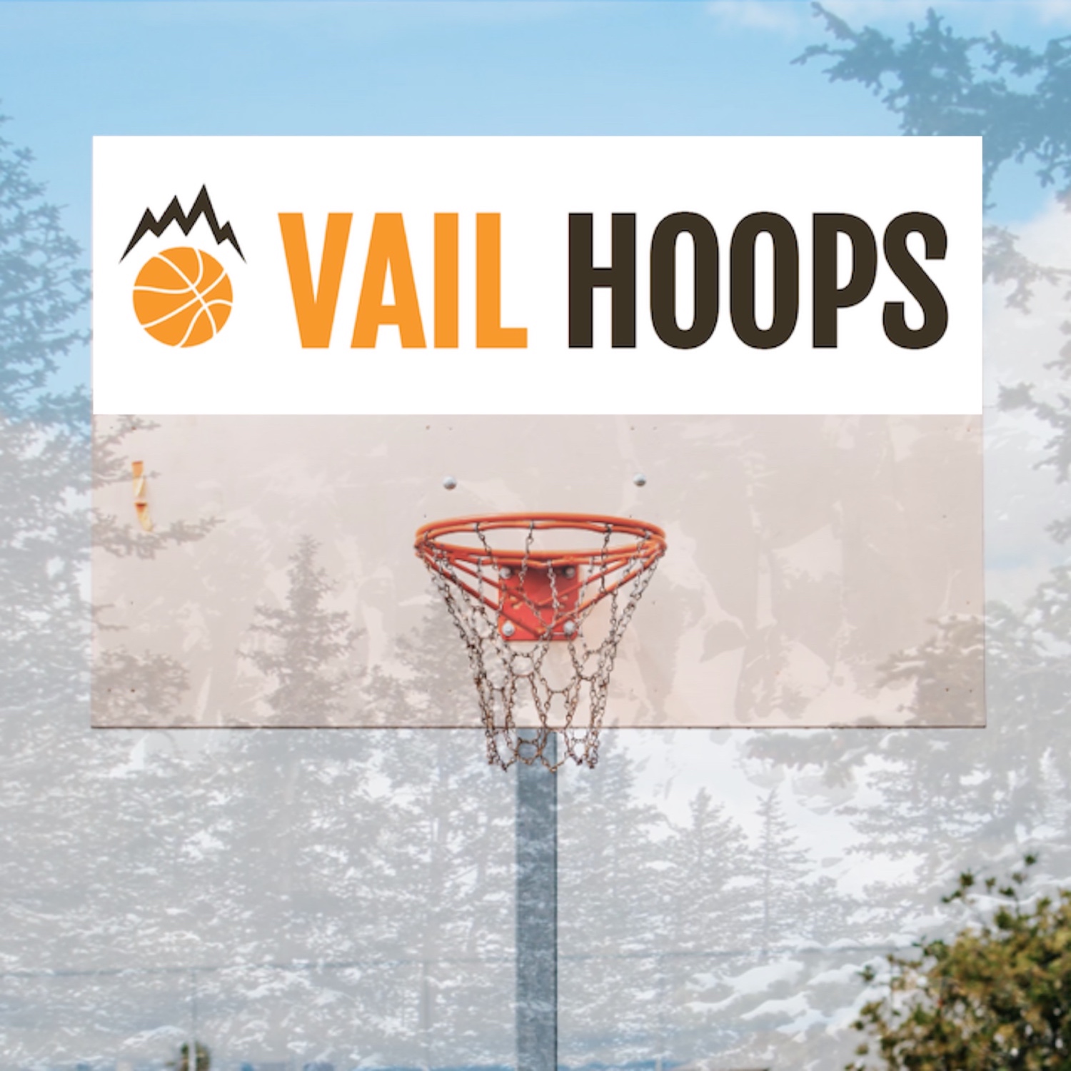 Artwork for podcast Vail Hoops