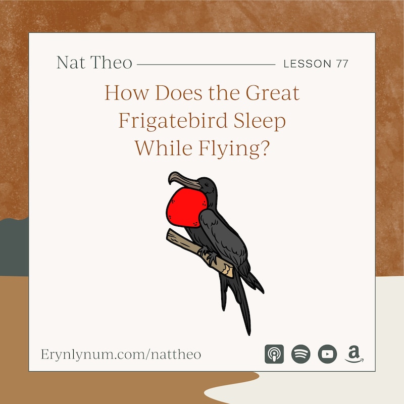Artwork for podcast Nat Theo Nature Lessons Rooted in the Bible